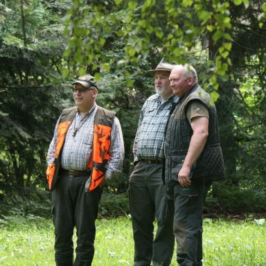 Drei Männer in Jagdbekleidung stehen in einem Waldgebiet und unterhalten sich. Hundeprüfung.