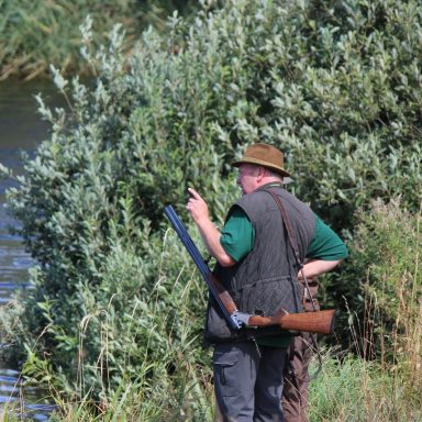Deutsch Langhaar Verein Nord Ost