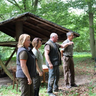Richter stehen vor einer Hütte im Wald und betrachten etwas im Geäst.