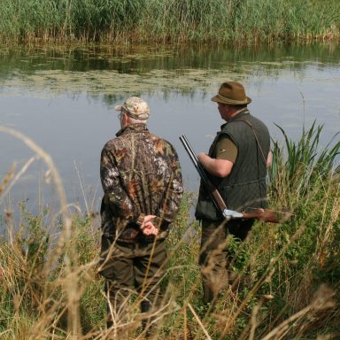 Deutsch Langhaar Verein Nord Ost